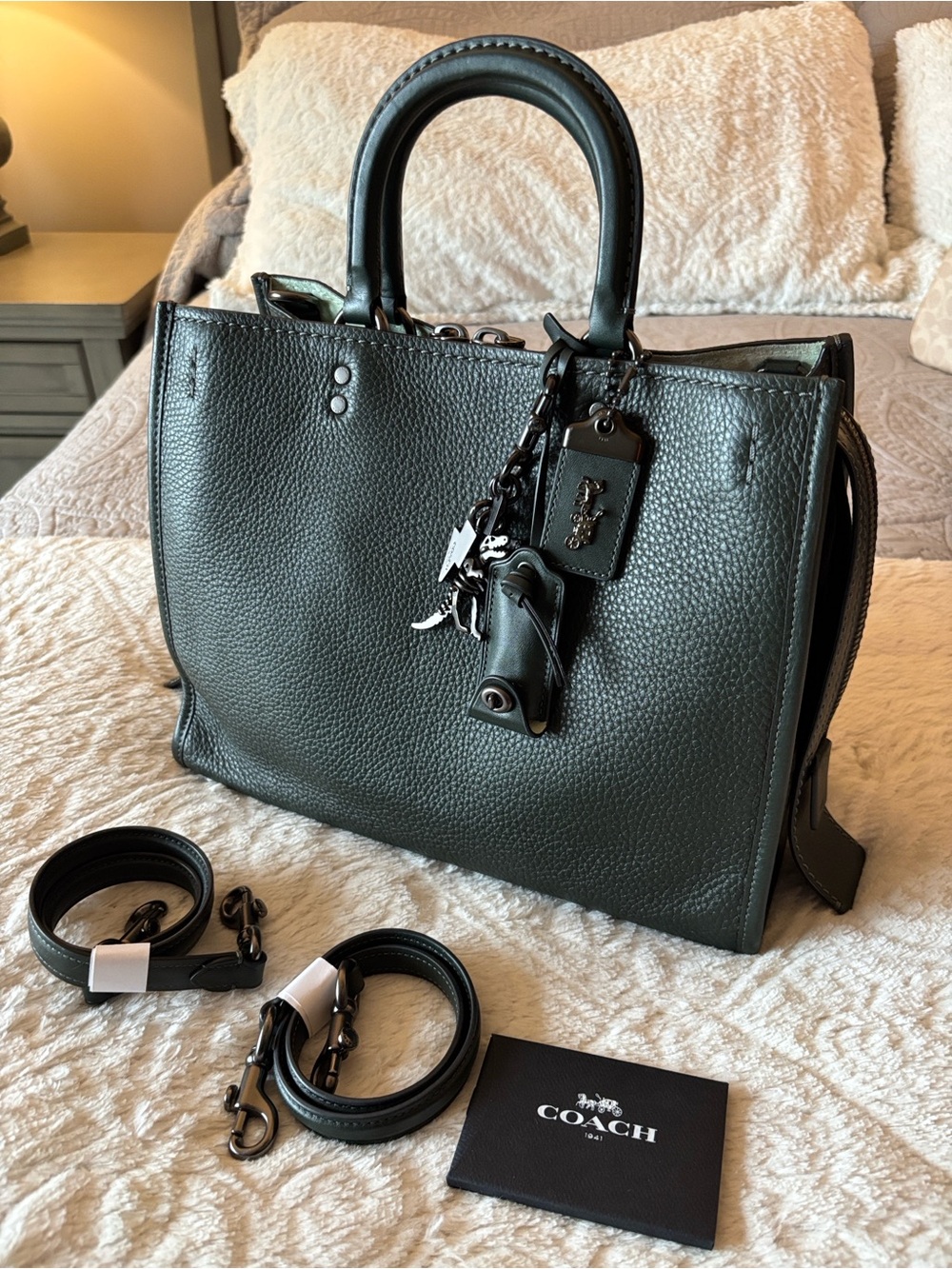 Coach Rogue 30 in Green (Amazon)/Gunmetal - Picture 2 of 16